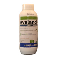 Avalanche SC 1L